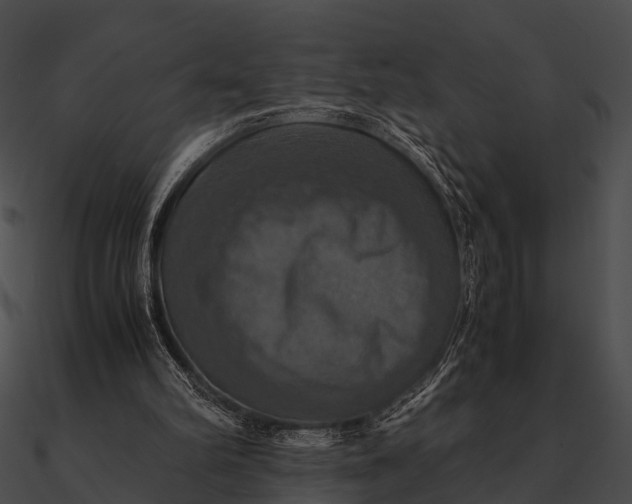 X0000090490102200708031155