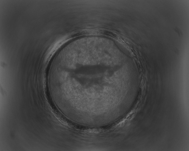 X0000090490103200708031155