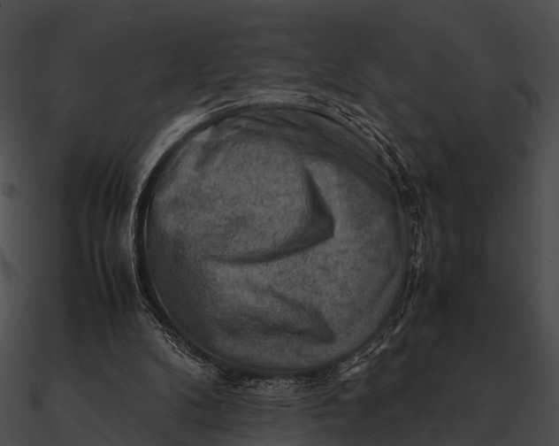 X0000090490104200708031155