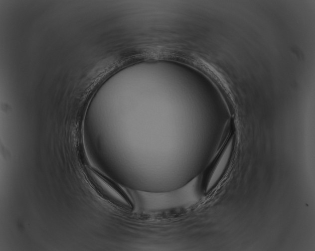 X0000090490105200708031155