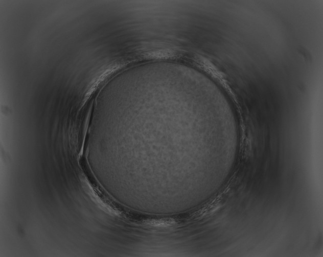 X0000090490106200708031155