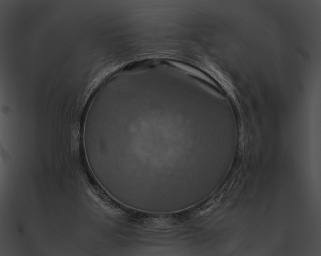 X0000090490107200708031155