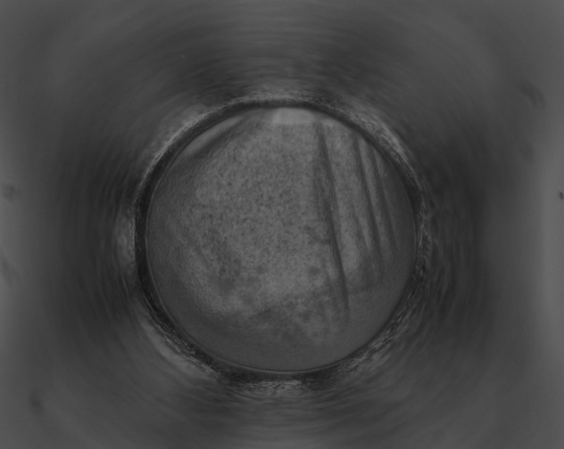 X0000090490108200708031155