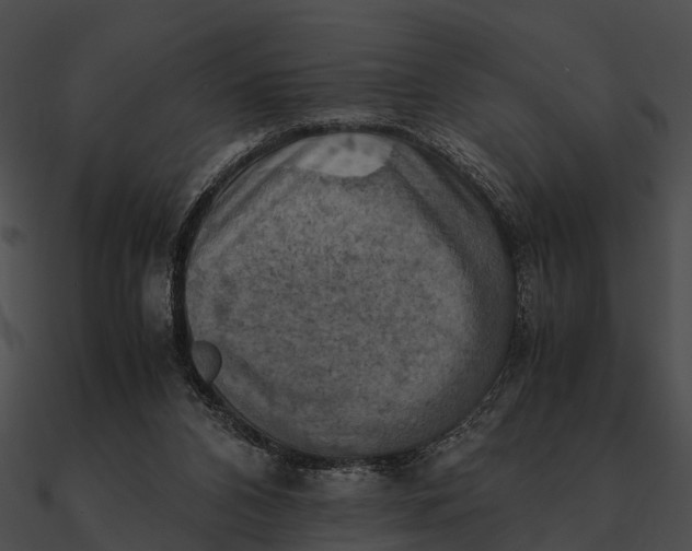 X0000090490112200708031155