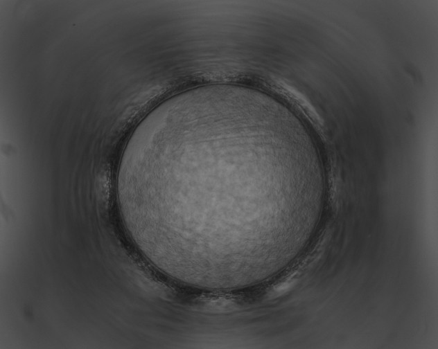 X0000090490113200708031155