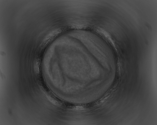 X0000090490114200708031155