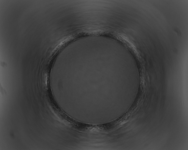 X0000090490115200708031155