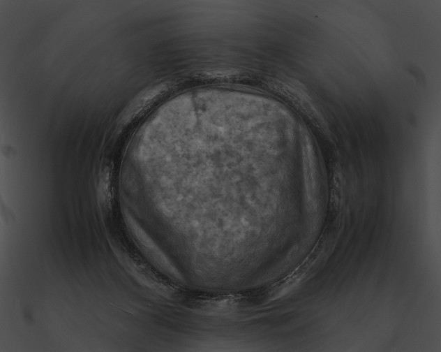 X0000090490116200708031155