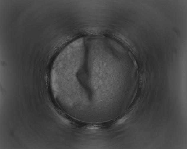 X0000090490117200708031155