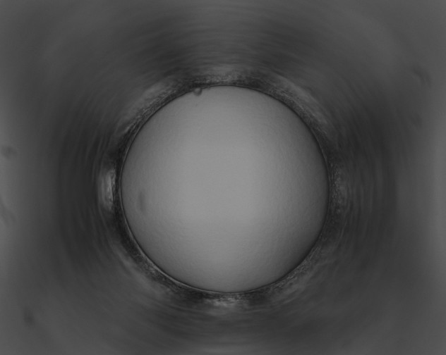 X0000090490118200708031155