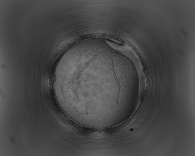 X0000090490119200708031155