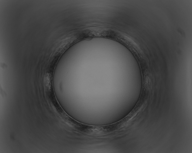 X0000090490121200708031155