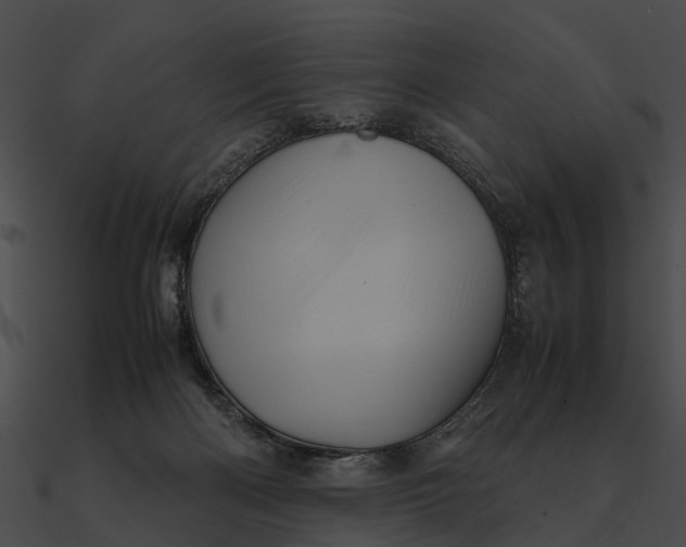 X0000090490122200708031155