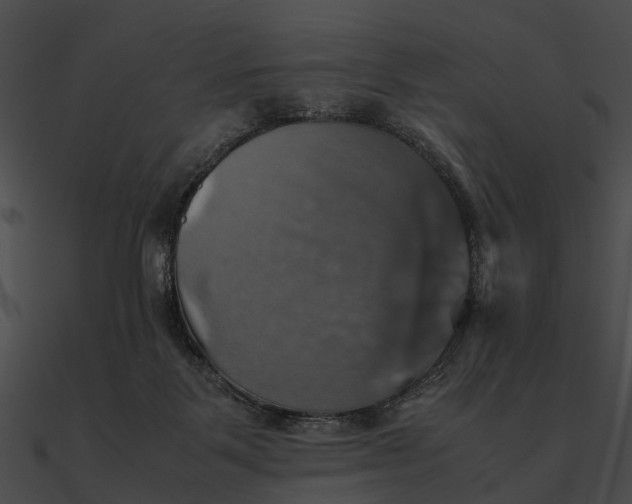 X0000090490123200708031155