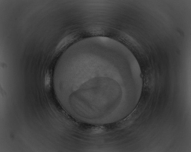 X0000090490124200708031155