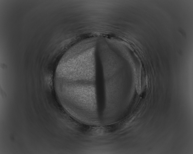 X0000090490127200708031155