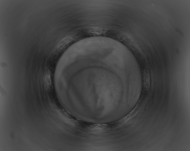 X0000090490128200708031155