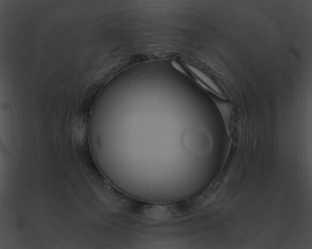 X0000090490129200708031155