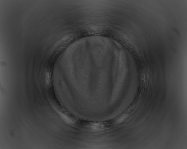 X0000090490130200708031155