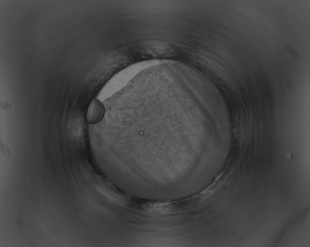 X0000090490132200708031155