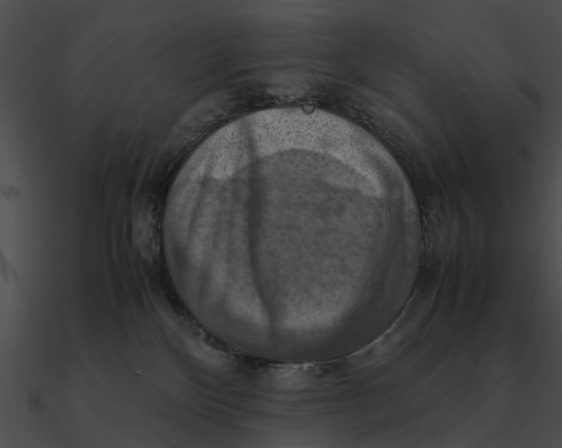 X0000090490136200708031155