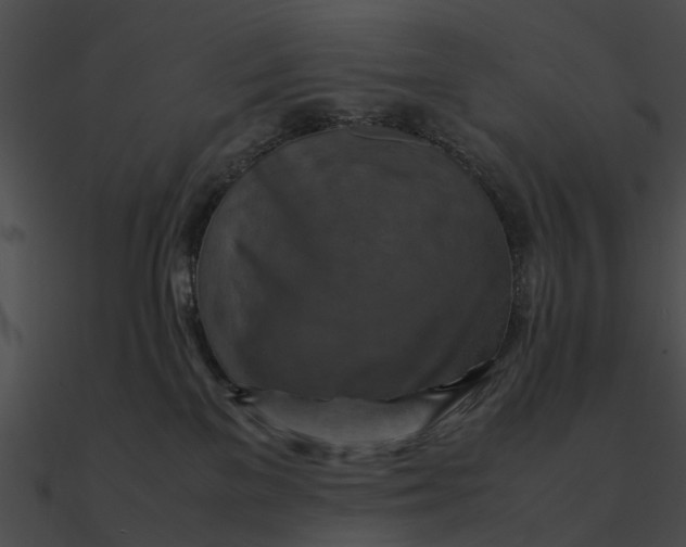 X0000090490137200708031155