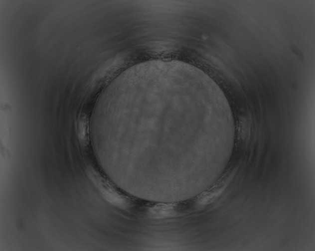 X0000090490138200708031155