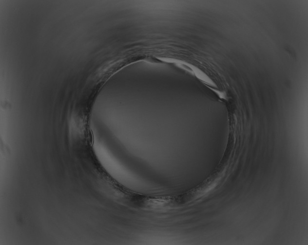 X0000090490139200708031155