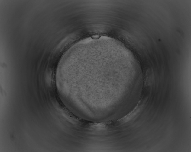 X0000090490140200708031155