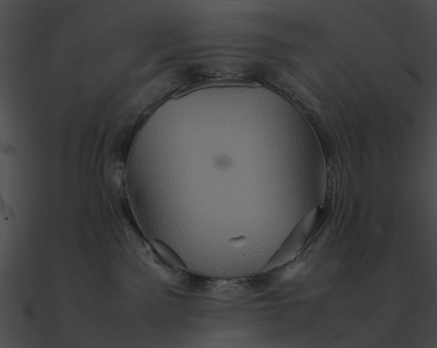 X0000090490141200708031155