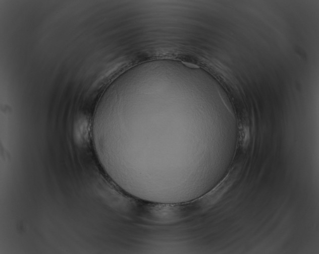 X0000090490142200708031155