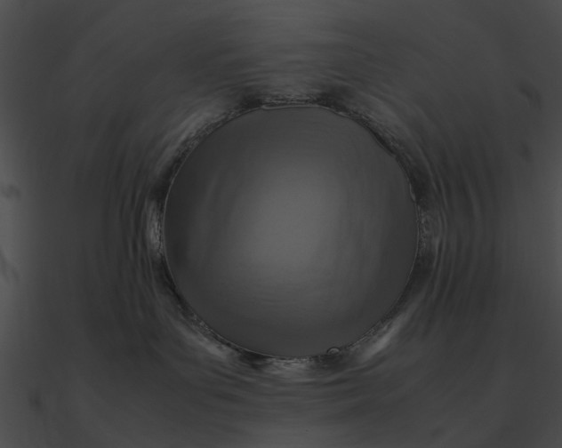 X0000090490143200708031155