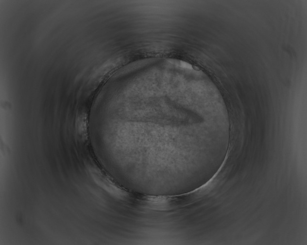 X0000090490144200708031155