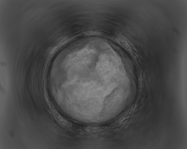 X0000090490145200708031154