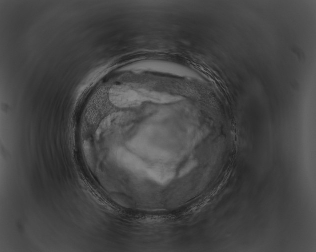 X0000090490149200708031154