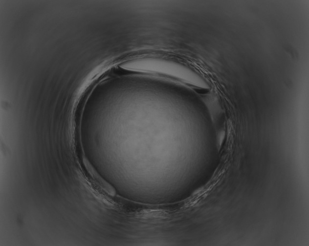 X0000090490150200708031154