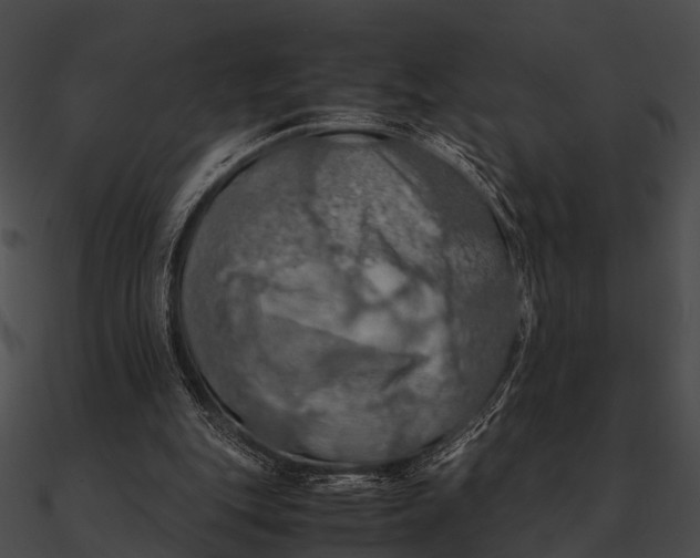 X0000090490151200708031154