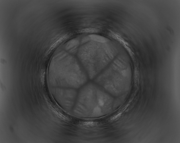 X0000090490153200708031154