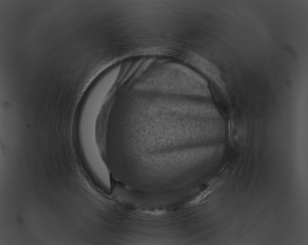 X0000090490156200708031154