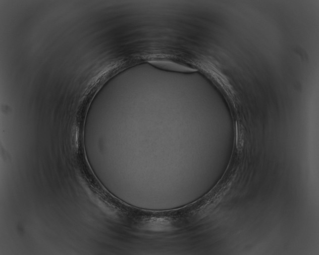 X0000090490157200708031154