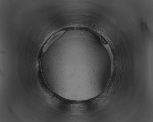 X0000090490160200708031154