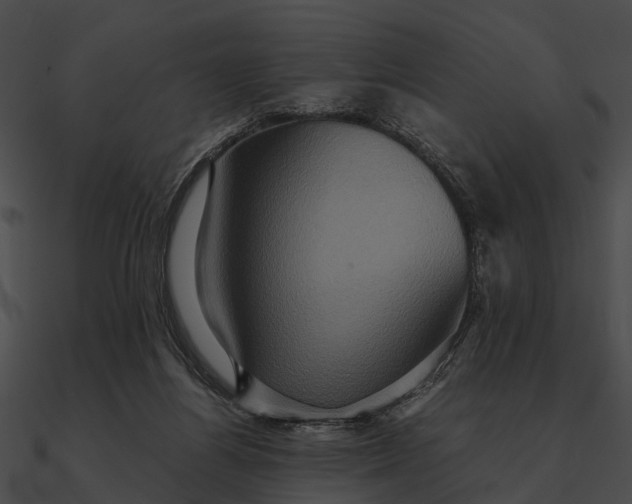 X0000090490164200708031154