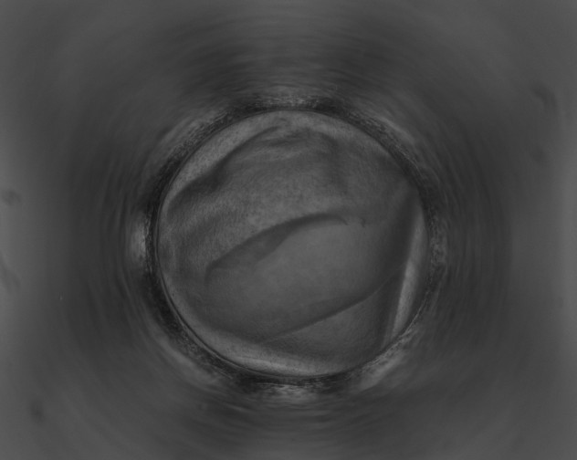 X0000090490166200708031154