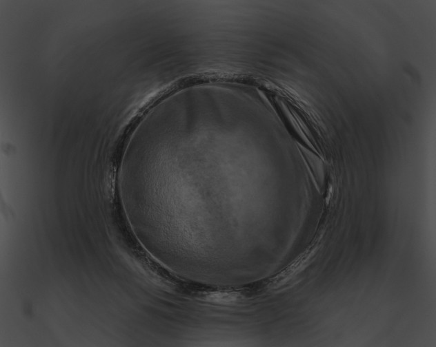 X0000090490168200708031154