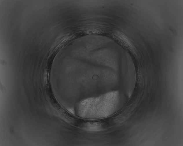 X0000090490169200708031154