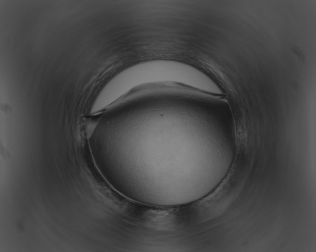 X0000090490170200708031154