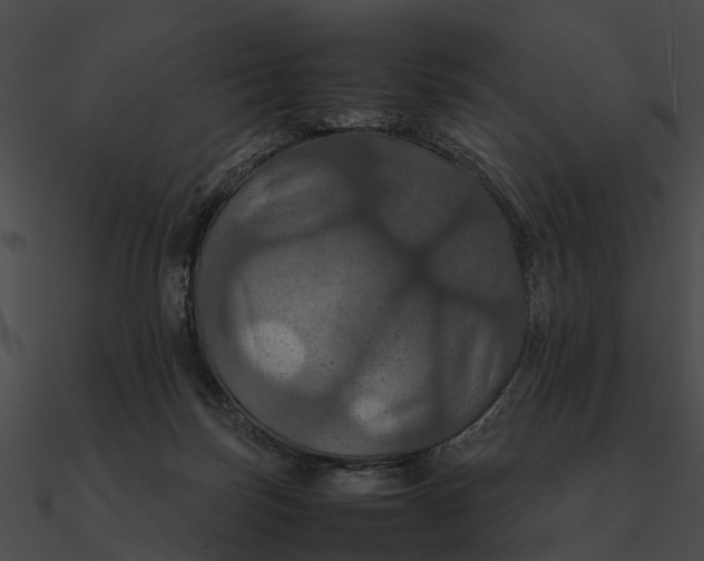 X0000090490171200708031154