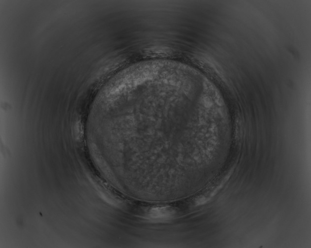 X0000090490173200708031154