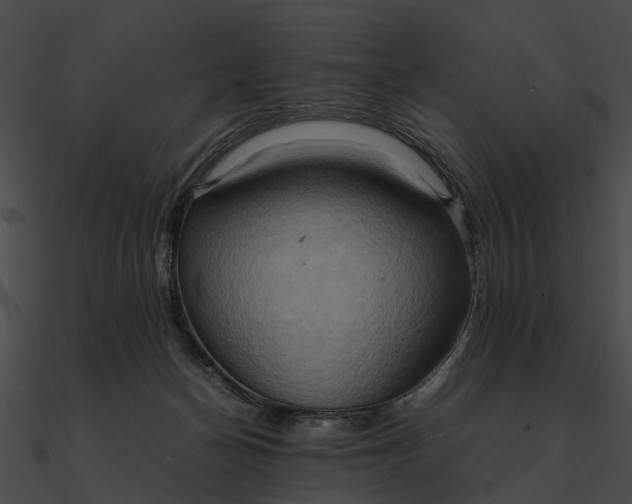 X0000090490174200708031154