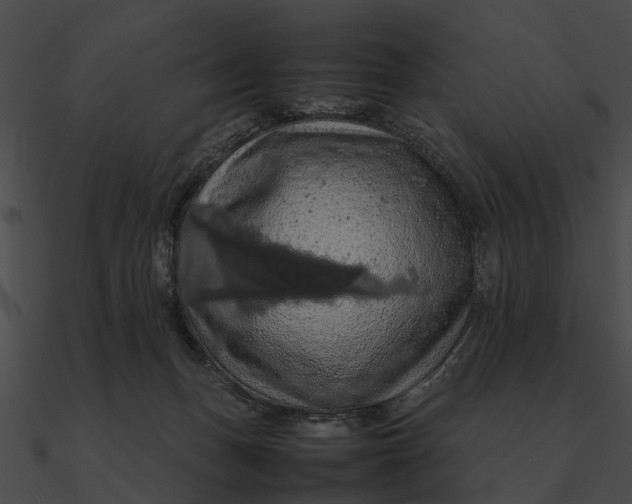 X0000090490175200708031154